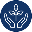 Hands with Leaves