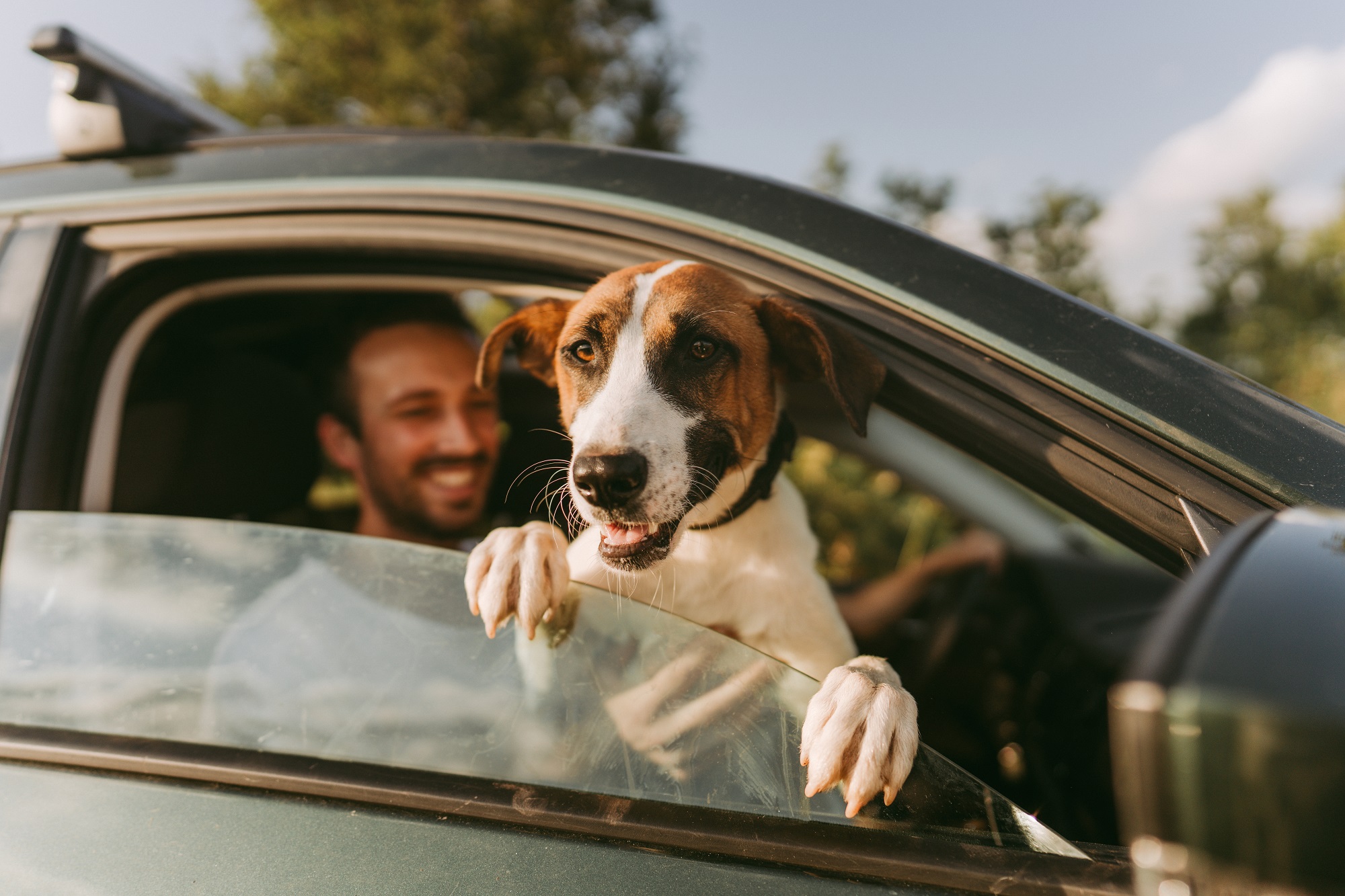 A dog sits in its owner's lap and sticks its head out the window