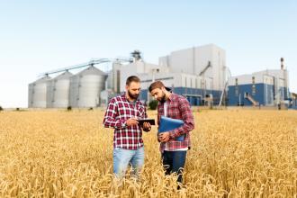 Two men dressed in red flannel shirts stand in the wheat field of their farm and review financials on a tablet